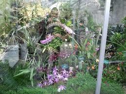 Linz Botanical Garden